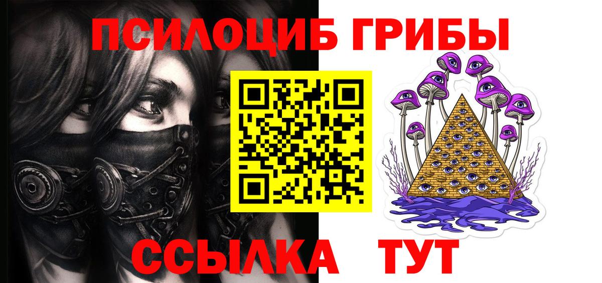 Псилоцибиновые грибы Psilocybe  Галлюциногенные грибы MAGIC MUSHROOMS  Вход с VPN  купить закладку  Кольчугино 