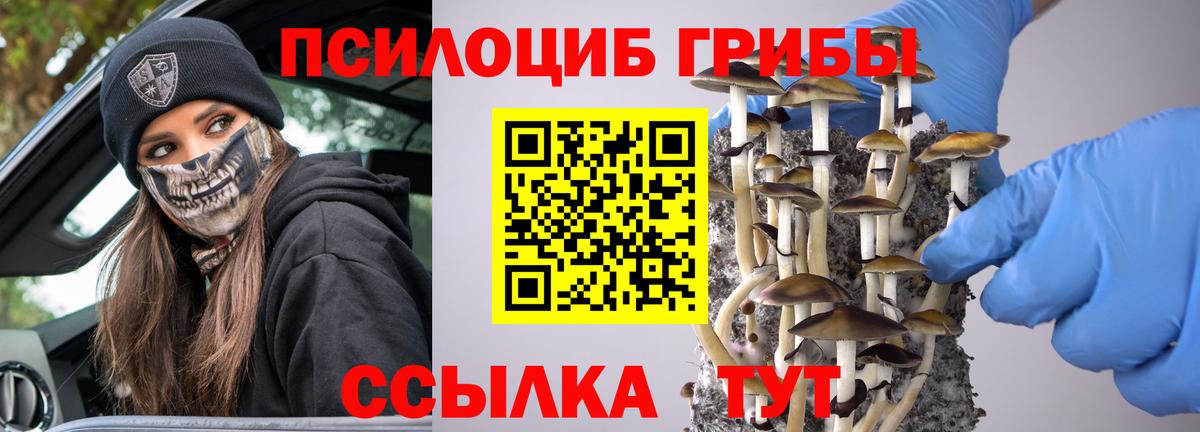 Псилоцибиновые грибы мухоморы Кольчугино